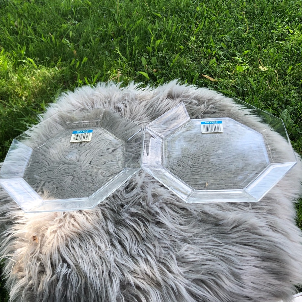 Arcoroc octime dinner plates (2)